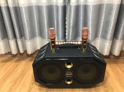 Loa Karaoke xách tay 0