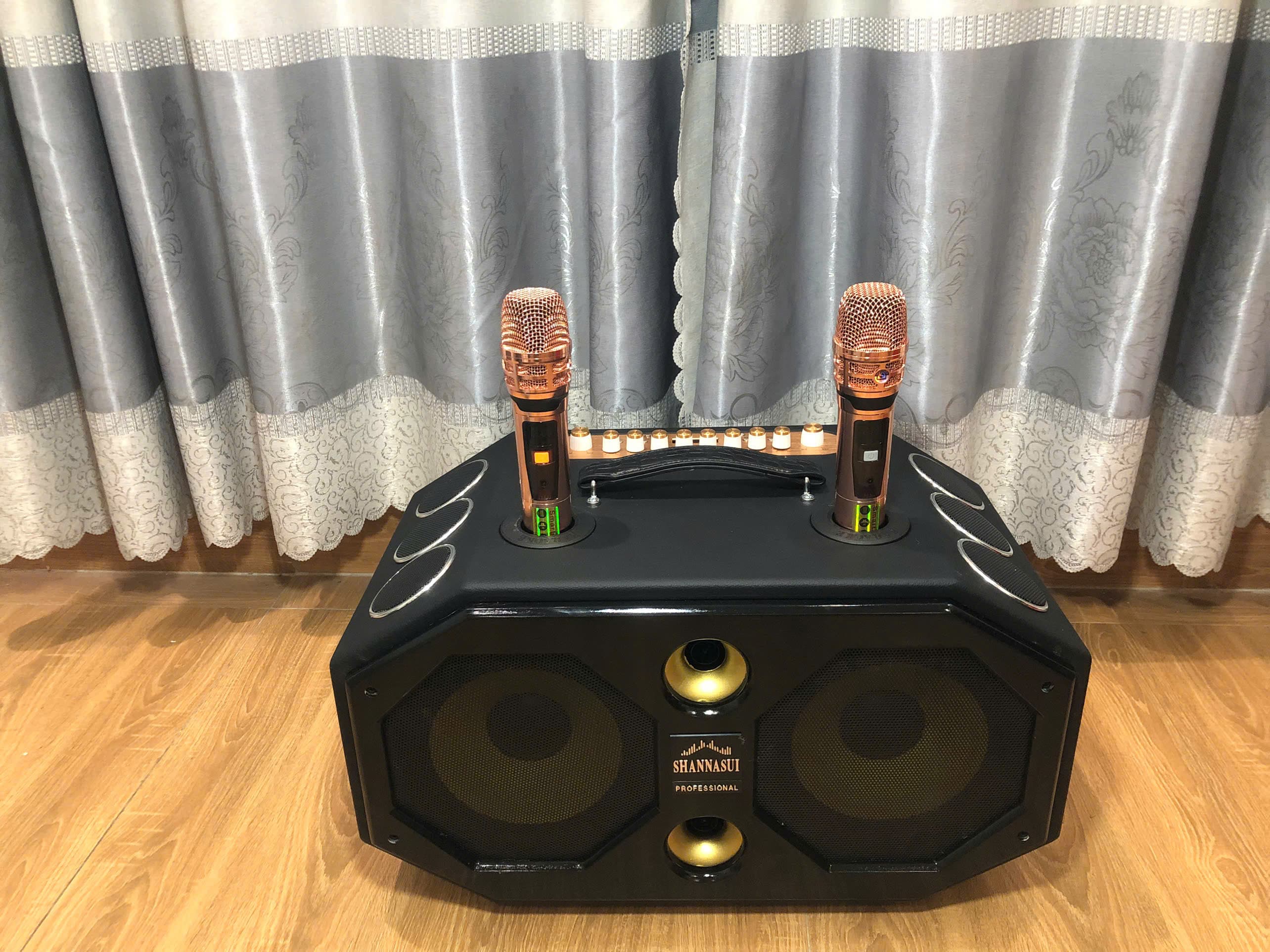 Loa Karaoke xách tay
