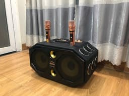 Loa Karaoke xách tay 1