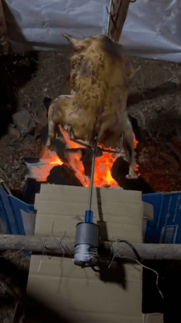 Máy nướng tự động 2