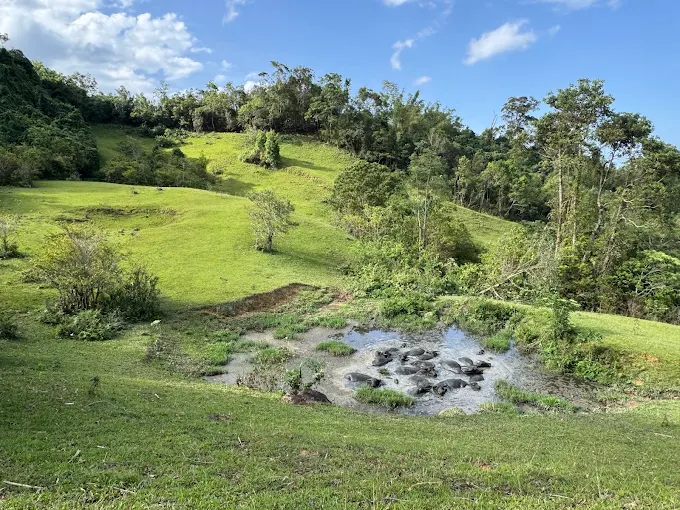 Làng Rong Chơi TakPang